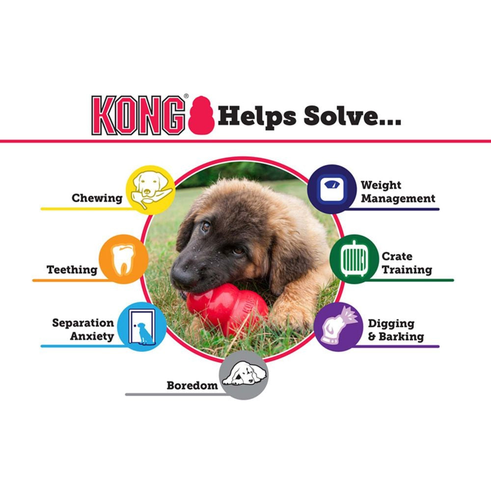 Kong Dog Toy Senior Large-Ascot Saddlery-The Equestrian