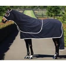 Black horse show rug with white trim on horse outdoors; no brand visible.