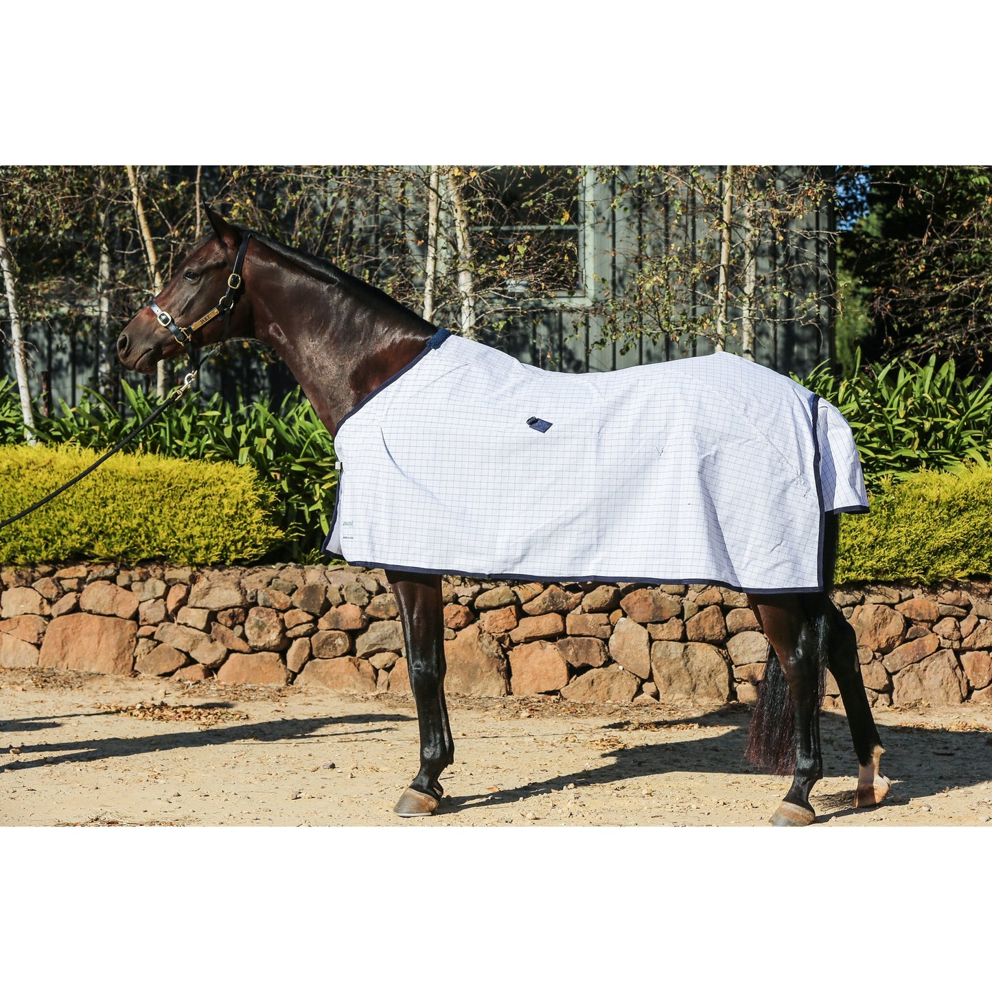 Diamond Cotton Ripstop Rug-Diamond Deluxe Horsewear-The Equestrian