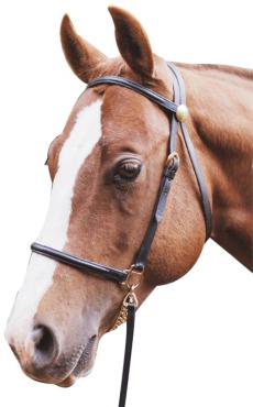 Bridle Led In & Chain Lead Leather Black-Ascot Saddlery-The Equestrian