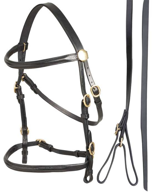 Bridle Led In & Lead Leather Aintree Black-Ascot Saddlery-The Equestrian