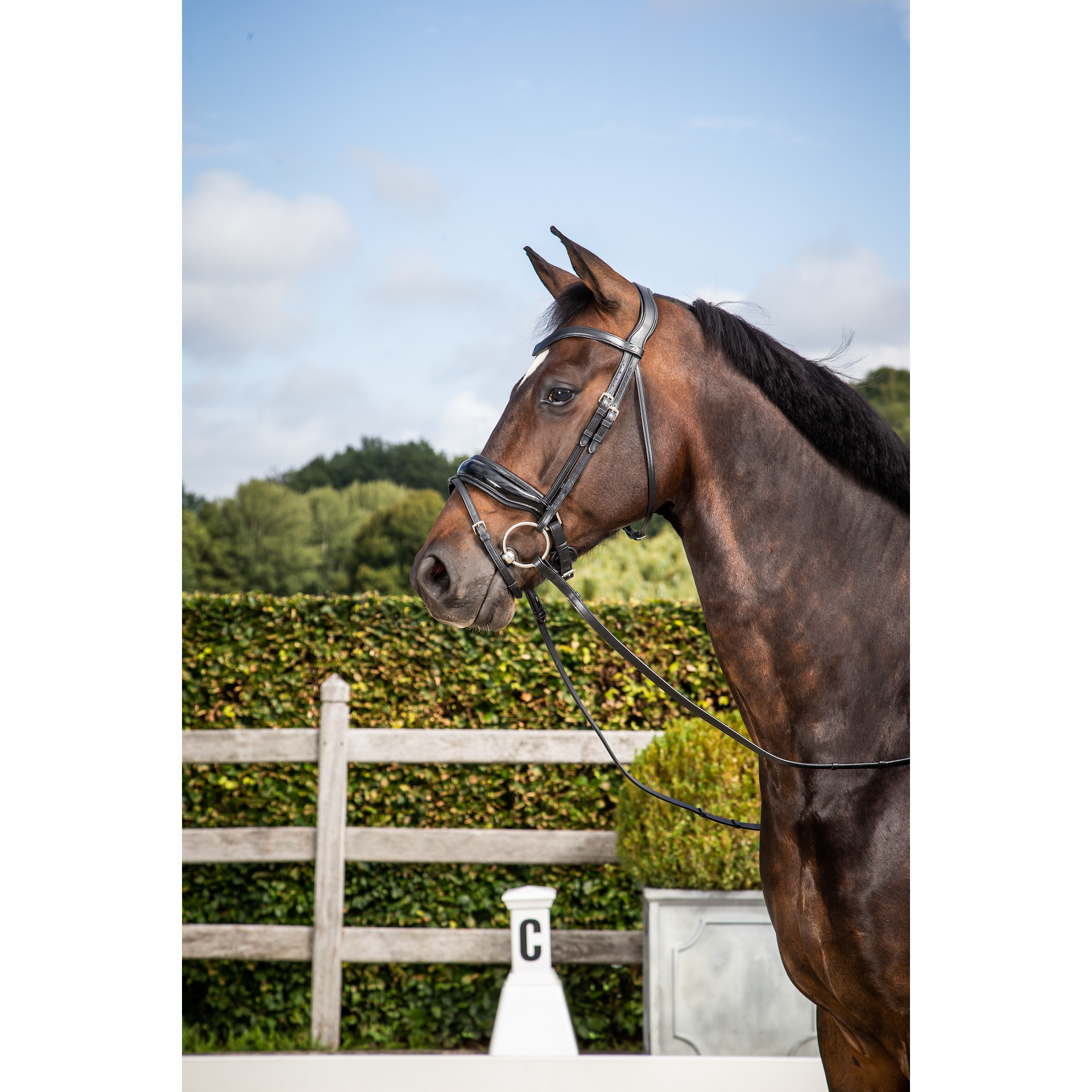 Dy'on New English Collection - Black Patent Large Crank Noseband with Flash - Full-Little Equine Co-The Equestrian
