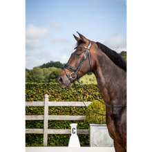 Dy'on New English Collection - Black Patent Large Crank Noseband with Flash - Full-Little Equine Co-The Equestrian