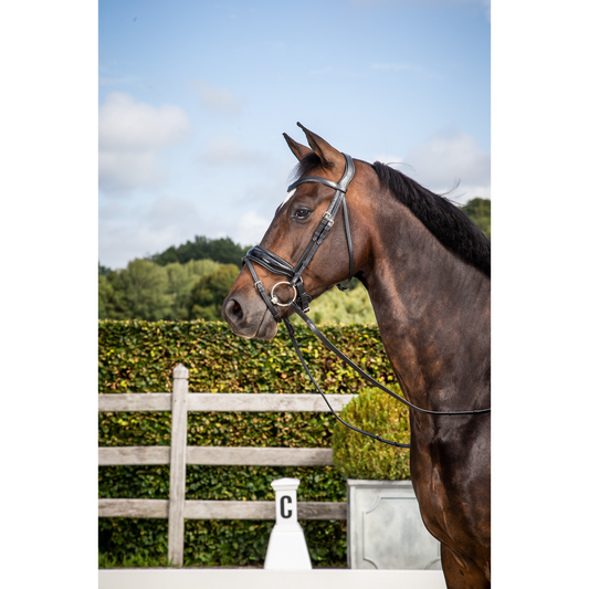 Dy'on New English Collection - Black Patent Large Crank Noseband with Flash - Full-Little Equine Co-The Equestrian