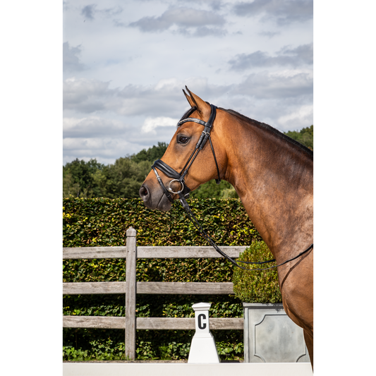 Dy'on Round Collection Black Matte Medium Crank Noseband Bridle with Flash Full-Little Equine Co-The Equestrian