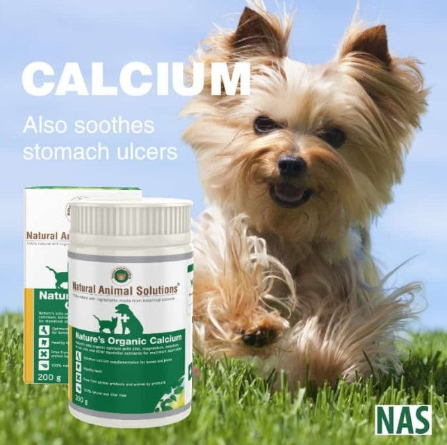 Natural Animal Solutions Calcium Natures 200gm-Ascot Saddlery-The Equestrian