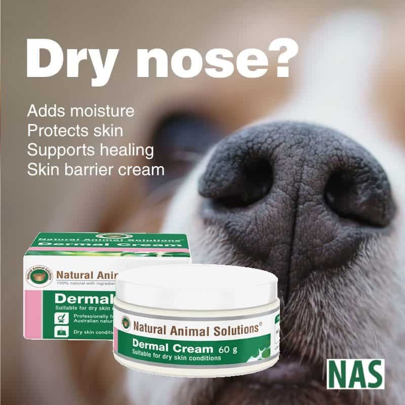 Natural Animal Solutions Dermal Cream 60gm-Ascot Saddlery-The Equestrian