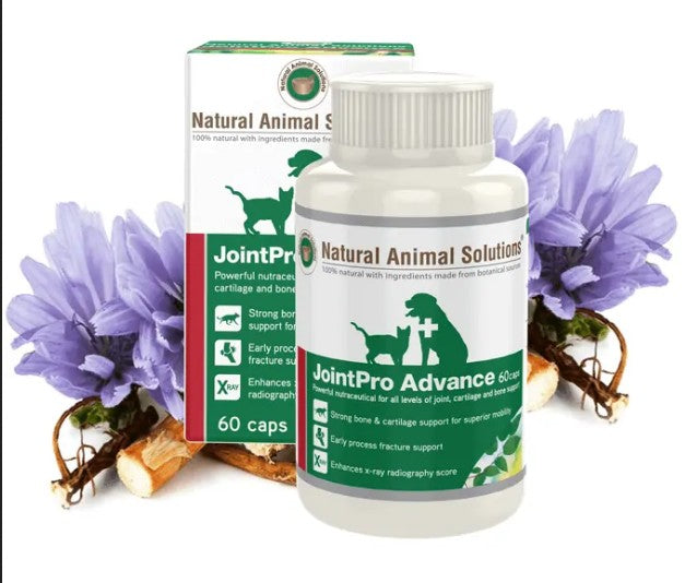 Natural Animal Solutions Jointpro Advance 60 Caps-Ascot Saddlery-The Equestrian