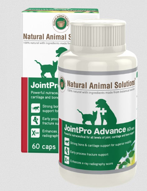 Natural Animal Solutions Jointpro Advance 60 Caps-Ascot Saddlery-The Equestrian