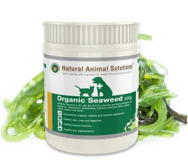 Natural Animal Solutions Organic Seaweed 300gm-Ascot Saddlery-The Equestrian