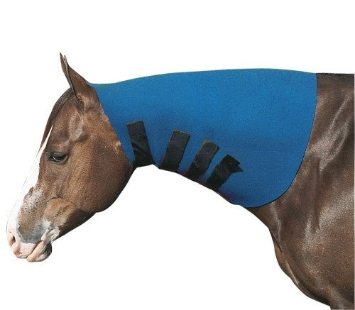 Neck Sweat Neoprene Blue Full-Ascot Saddlery-The Equestrian