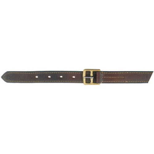 Brown stirrup leathers with buckle, isolated on a white background.