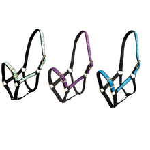 Halter Overlay-Trailrace Equestrian Outfitters-The Equestrian