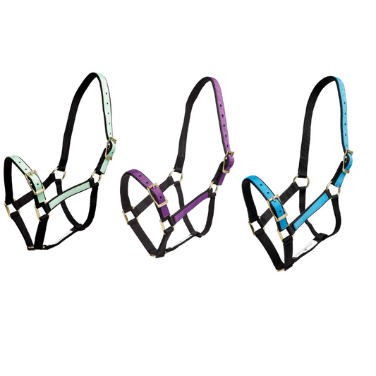Halter Overlay-Trailrace Equestrian Outfitters-The Equestrian