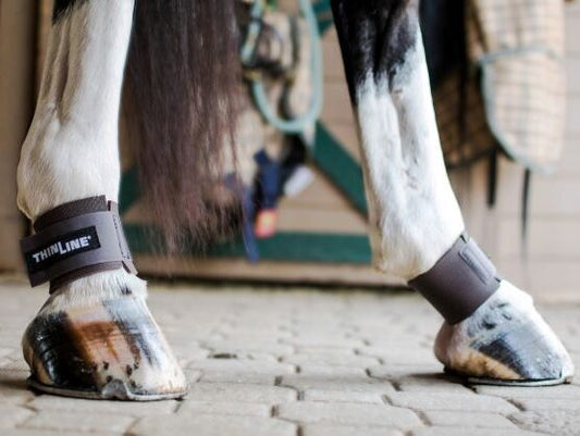 ThinLine Pastern Wraps-Trailrace Equestrian Outfitters-The Equestrian