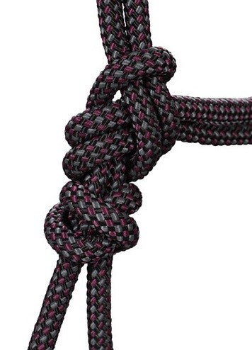 Close-up of a black and pink rope halter knot.
