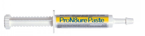Syringe of ProN8ure Paste horse wormer medication on white background.
