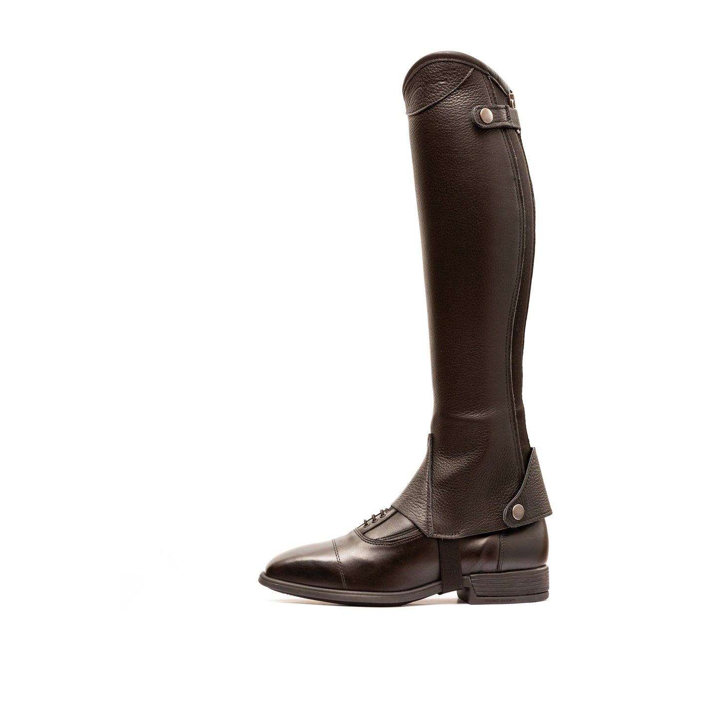 Dy'on Comfort Half Chaps-Little Equine Co-The Equestrian