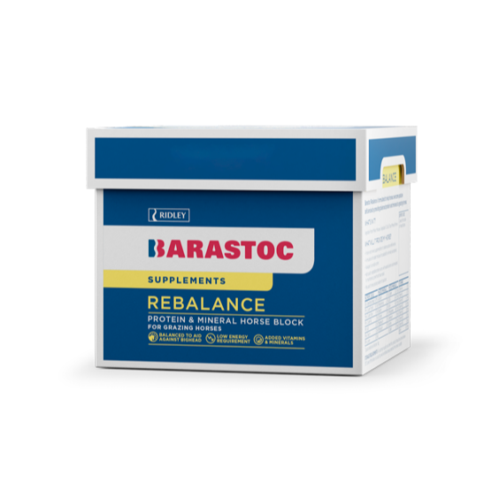 Barastoc Rebalance Horse Block 20kg-Southern Sport Horses-The Equestrian