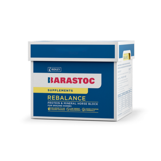 Barastoc Rebalance Horse Block 20kg-Southern Sport Horses-The Equestrian