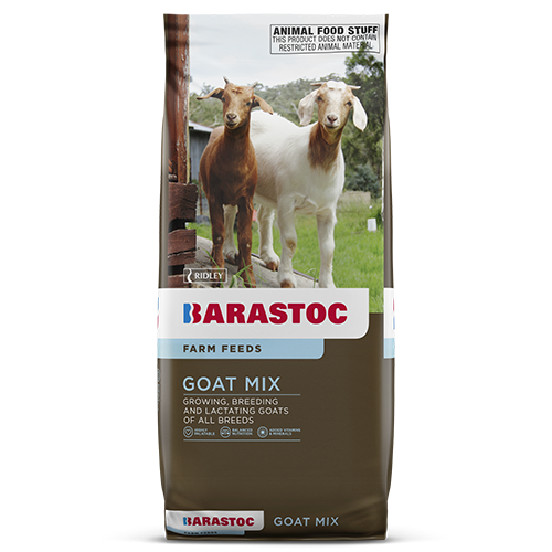 Barastoc Goat Mix-Southern Sport Horses-The Equestrian