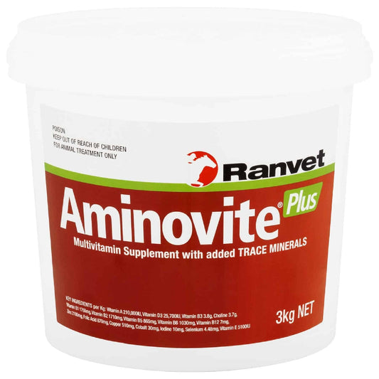 Aminovite Plus Ranvet 3kg-Ascot Saddlery-The Equestrian
