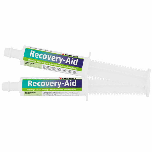Recovery Drench Paste Ranvet 80gm-Ascot Saddlery-The Equestrian