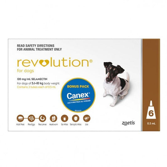 Revolution Dog 5kg-10kg 6 Pack-Ascot Saddlery-The Equestrian