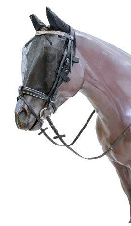 A brown horse wearing a black fly veil for horses.
