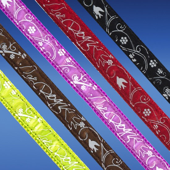Assorted colorful Rogz pet collars displayed against a blue background.