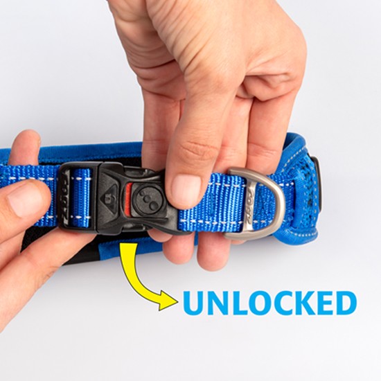 Hand unlocking a blue Rogz dog collar buckle.
