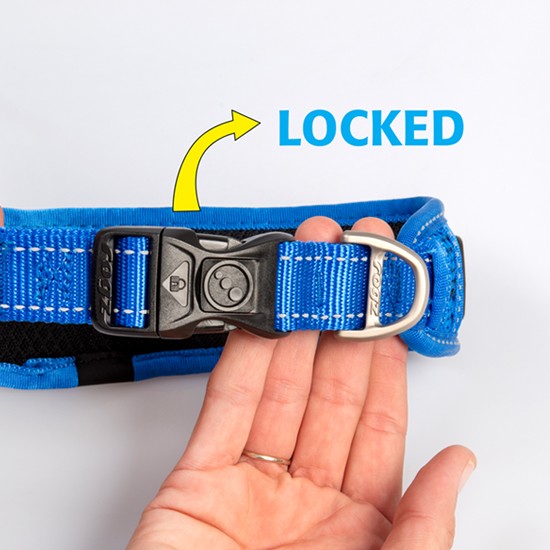 Hand demonstrating Rogz collar lock feature, labeled "LOCKED".