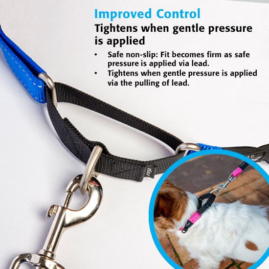 Rogz dog collar and leash with improved control feature.