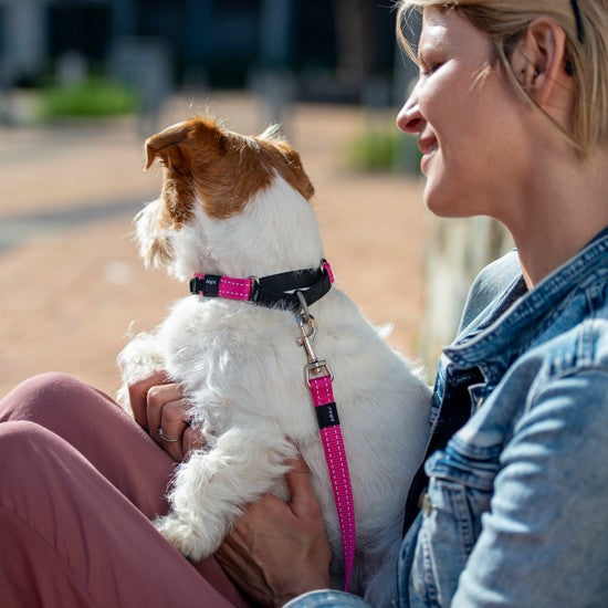 Woman holding dog wearing pink Rogz collar and leash.