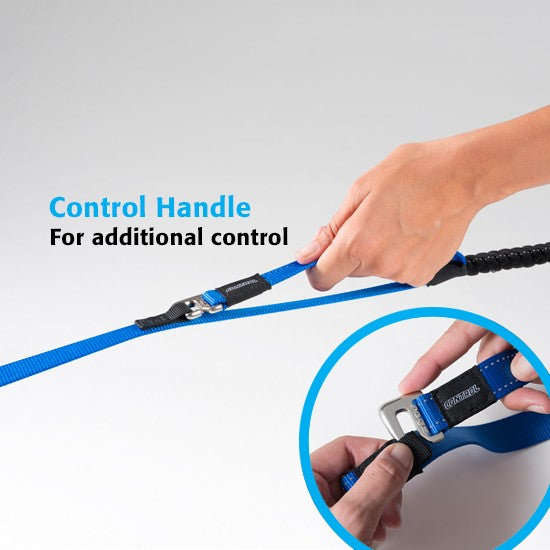 Hand demonstrating control handle on Rogz blue leash.