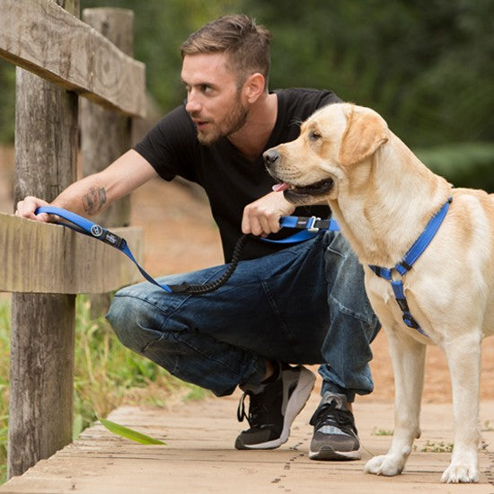 Man crouches beside dog with blue Rogz leash.