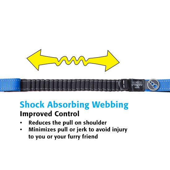Rogz branded shock-absorbing blue dog leash with features listed.