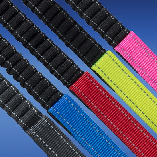 Assorted colorful Rogz dog collars on blue background.