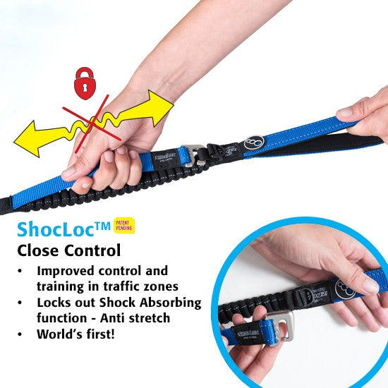 Hands demonstrating Rogz dog leash with ShocLoc control.