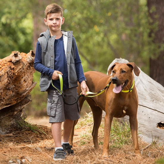 Boy with dog wearing Rogz collar and leash in forest.