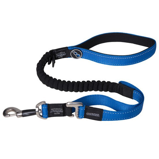 Blue and black Rogz dog leash with shock-absorbing section.