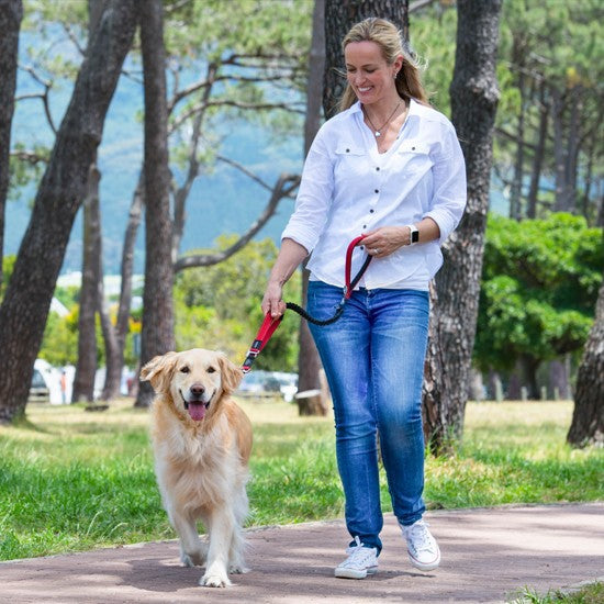 Woman walking dog with a Rogz leash in a park.