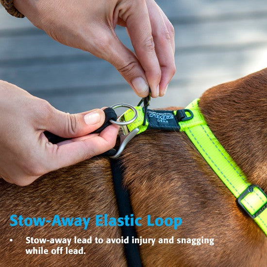 Person adjusting Rogz dog harness with elastic loop.