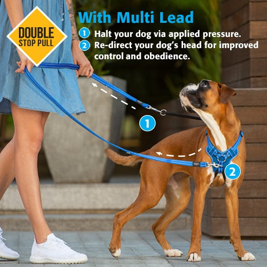 Dog wearing a blue Rogz harness guided by a multi-lead leash.