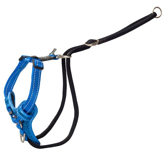 Rogz blue dog harness with attached black leash.