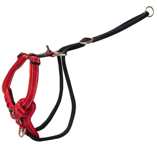 Alt text: Rogz red dog harness and black leash on white background.