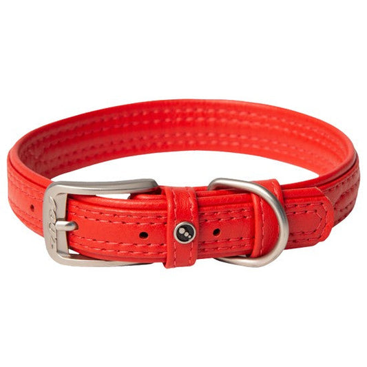 Red Rogz dog collar with silver buckle on white background.