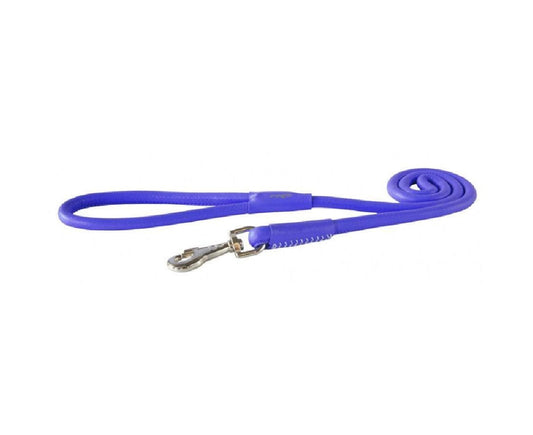 Rogz brand blue dog leash with metal clip.