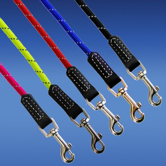 Assorted Rogz dog leashes with reflective stitching and clips.