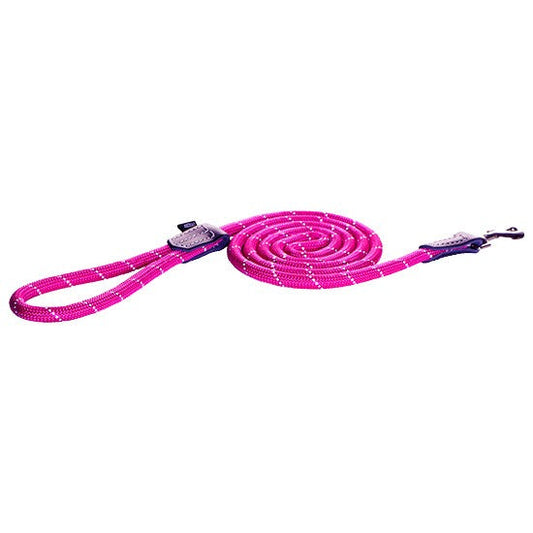 Pink Rogz dog leash coiled on a white background.